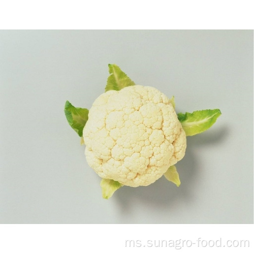 Bulk Organic Frozen Cauliflower